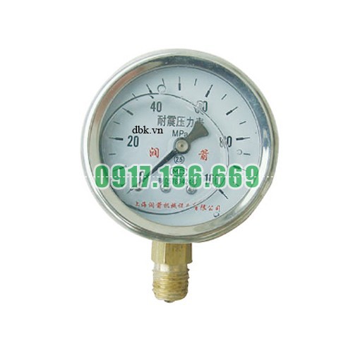 pressure-gauge-100pma