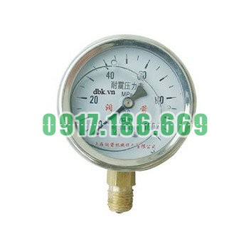 Bán MÁY BƠM MỠ PRESSURE GAUGE 100PMA