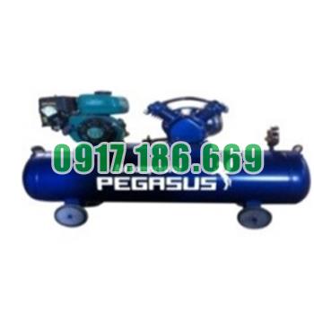 Bán Máy nén khí đầu nổ chạy bằng xăng PEGASUS TM-V-0.25/8-100L