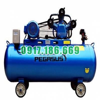 Bán Máy nén khí dây đai PEGASUS TM-W-1.0/8-330L