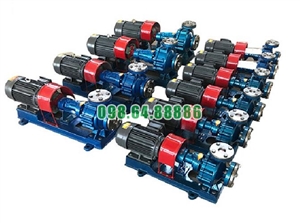 Bơm tuần hoàn dầu gia nhiệt RY100-65-200A cột áp 44 m, lưu lượng 94 m3/h, công suất 22 kW