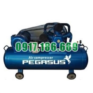 Bán Máy nén khí dây đai PEGASUS TM-W-0.36/12.5-330L